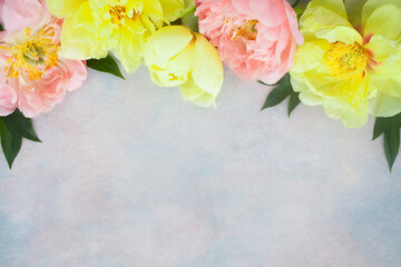 Yellow and coral peony flowers on a decorative background, space for copy, congratulation text