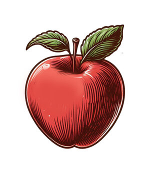 artistic vintage red apple illustration png isolated no background