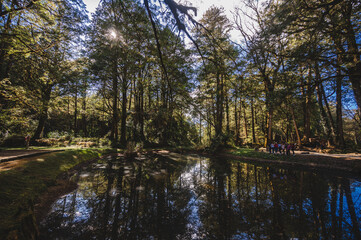  Younger Sister Water Pond the Alishan Nature Trail, adding a touch of allure to the Alishan National Scenic Areaa mountain resort and nature reserve nestled in Alishan Township