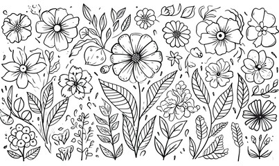 A black and white drawing of flowers