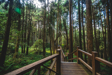 A picturesque wooden bridge in the heart of Alishan National Forest Park, nestled within the enchanting Alishan National Scenic Area&mdash;a mountain resort and nature reserve situated in Alishan township.