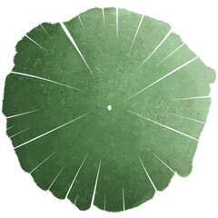 tree top view for landscape plan and architecture element. Trees plan