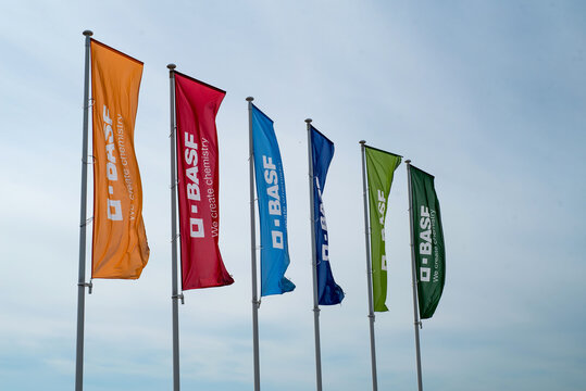 Ternopil region, Ukraine - July, 7, 2023: Colored flags of BASF at demo fields - BASF multinational chemical company