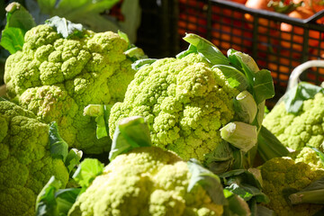 cauliflower in the market