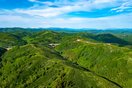 Drone view on forested mountain peaks, beautiful valleys, wildlife of Kazakhastan