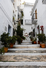 Fototapeta na wymiar Charming street of Frigiliana, Spain, with whitewashed steps, vertical photo.