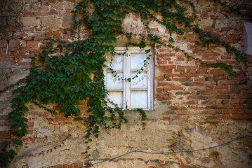 Tuscan Charm: Red Brick Wall with Lonely White Window, Ivy-Covered in a Medieval Village -...