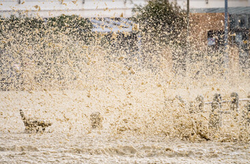 stormy, windy weather, sea foam or spume flying through the air with a bench in the background at...