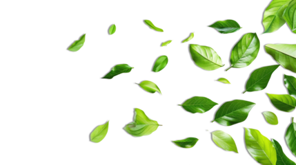 Green Floating Leaves Flying Leaves Green Leaf Dancing, Air Purifier Atmosphere on transparent