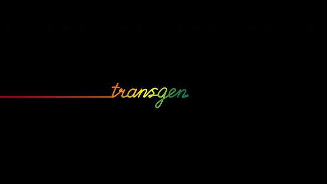 Motion graphics animation of the handwritten word Transgender in one line in the colors of the LGBTQ flag on a black background	
