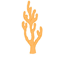 coral, marine plants, sea, 