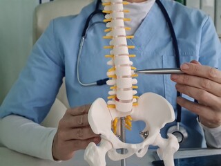 Close up of doctor explaining spine model to patient in modern clinic