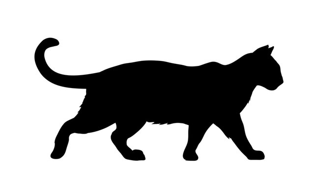 silhouette of a walking cat - vector illustration