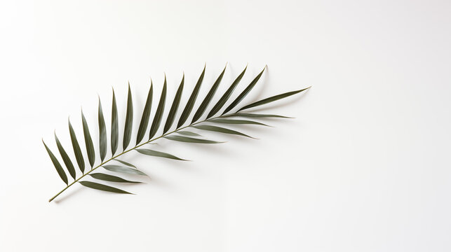 Gałązka palmy - Niedziela Palmowa. Symbol wjazdu Jezusa do Jerozolimy. Chwała Panu