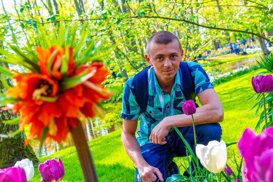 Man tourist with tulip flowers in park in Lisse Netherlands.
