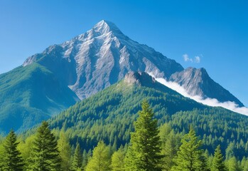 Mountain covered by forest and a blue sky