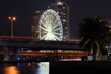 Downtown Miami Ferris Wheel 