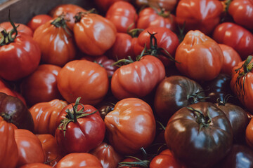 Fresh red tomatoes on sale at a market.