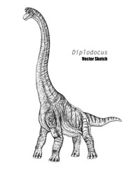 Diplodocus. Dinosaur sketch drawing. Black and white. Hand drawn vector art. line art - 725833897