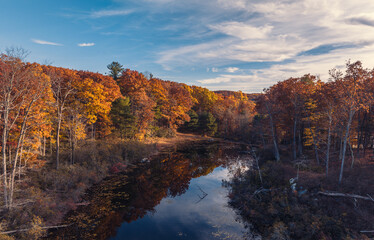 Beautiful fall Forest Lake at sunset