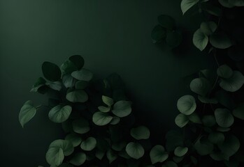 dark green wall shadow background with flower