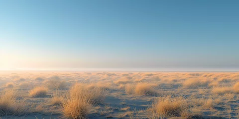 landscape of steppe plain with dry grass and bushes