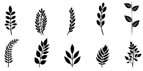 Vector different leaves set, isolated on white