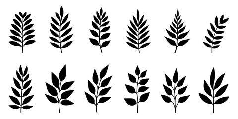 Vector set of different leaves