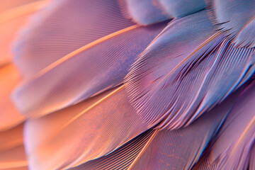 Close up macro photography of a pink parrot feathers. Very detailed macro photography