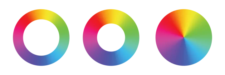 Fotobehang Color wheel with 12 Colors in Graduation. Color hues around a circle or disc. Vector illustration with rainbow light spectrum gradient. PNG © Hanna_zasimova