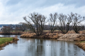 Rzeka Osobłoga w wiejskim krajobrazie z drzewami bez liści - obrazy, fototapety, plakaty