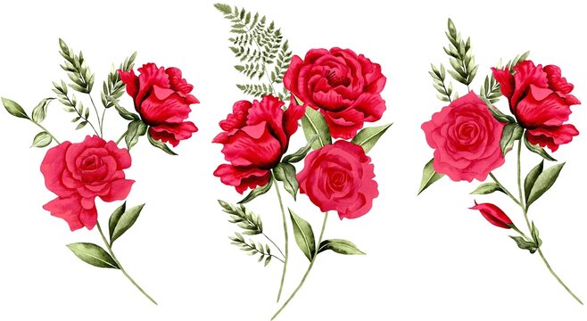 Watercolor Bouquet of flowers, isolated, white background, red roses and green leaves