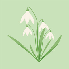 Spring flowers. Snowdrops vector illustration. Springtime and blossoming.