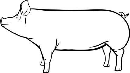 Pig vector outline illustration cut out © Iuliia