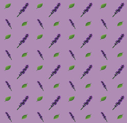 Patrón floral de lavandas