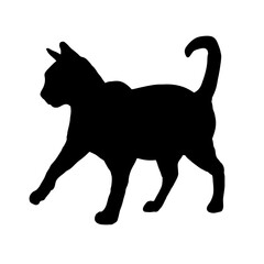 silhouette of cat - vector illustration