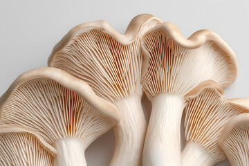 Chanterelle mushrooms background. Very detailed macro photography