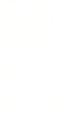 Rabbit Chalk Drawing