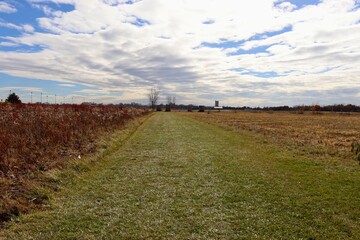 The long empty grass path in the country field.