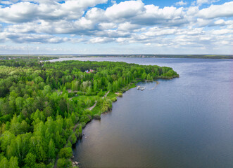 Fototapeta na wymiar Aerial view of lake or river green shore with forest. Summer season.