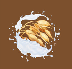 Oat and milk splash. Oats ears, grain on spikelet Realistic illustration. 3d vector icon
