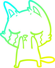 cold gradient line drawing crying cartoon cat