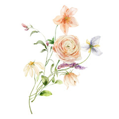 Watercolor bouquet of ranunculus, daisy, anemone and leaves. Hand painted floral card isolated on white background. Holiday flowers Illustration for design, print, fabric or background. - 725884452