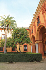 Fototapeta na wymiar sevilla reales alcázares patio jardines 4M0A5441-as24