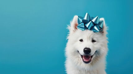 Fototapeta premium dog with red bow on head, clean pastel background
