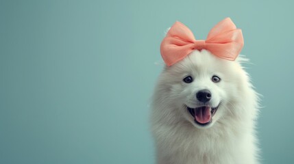 Fototapeta na wymiar dog with red bow on head, clean pastel background