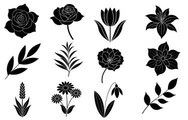 Collection of silhouette flower and leaf elements for invitation design, greeting cards, quotes, blogs, posters.