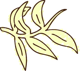 Leaves Chalk Drawing