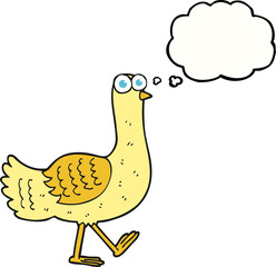 thought bubble cartoon bird