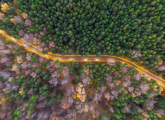 Aerial view of road in beautiful autumn forest at sunset. Beautiful landscape with empty rural road, trees with red and orange leaves.